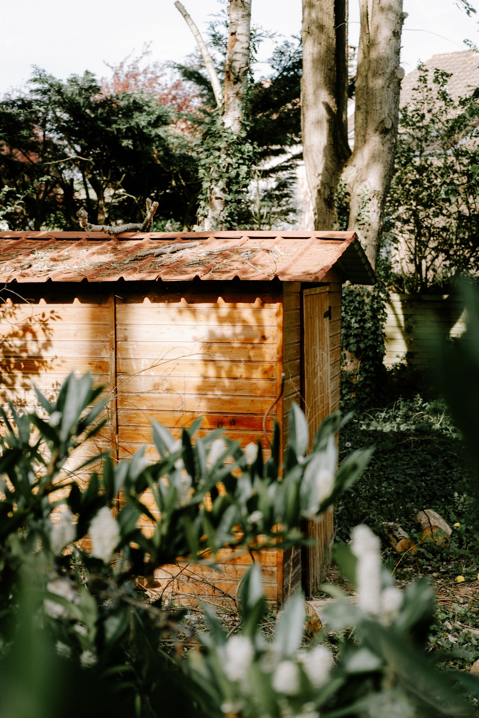 Réparation d'Abris de Jardin